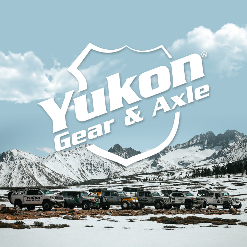 Yukon Gear 9.75in Ford 4.11 Rear Ring & Pinion Install Kit 2.53in OD Axle Bearings and Seal