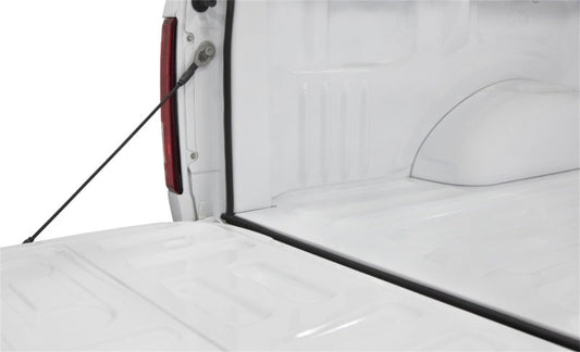 Access - Accessories TRAILSEAL Tailgate Gasket 1 Kit Fits All Pickups