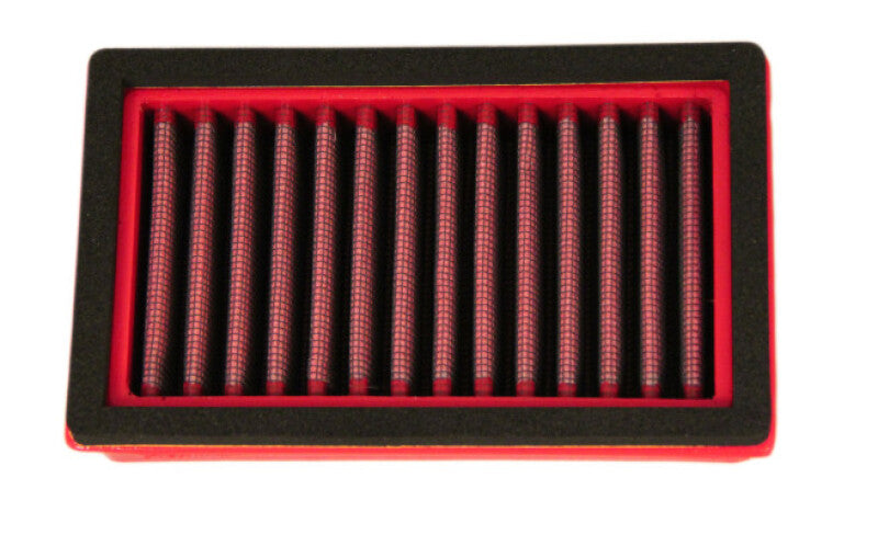 BMC 08-15 BMW F 700 Gs Replacement Air Filter