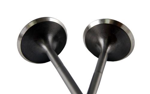 BLOX Racing High Compression Exhaust Valve Set for Honda F20C (set 0f 8)