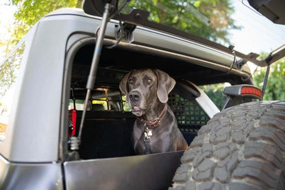 DV8 Offroad 2021-2024 Ford Bronco Dog Barrier