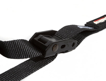PRP Cam-Lock 1in.x10ft. Tie Down with Snap S Hooks and Soft Tie - Black - Pr.