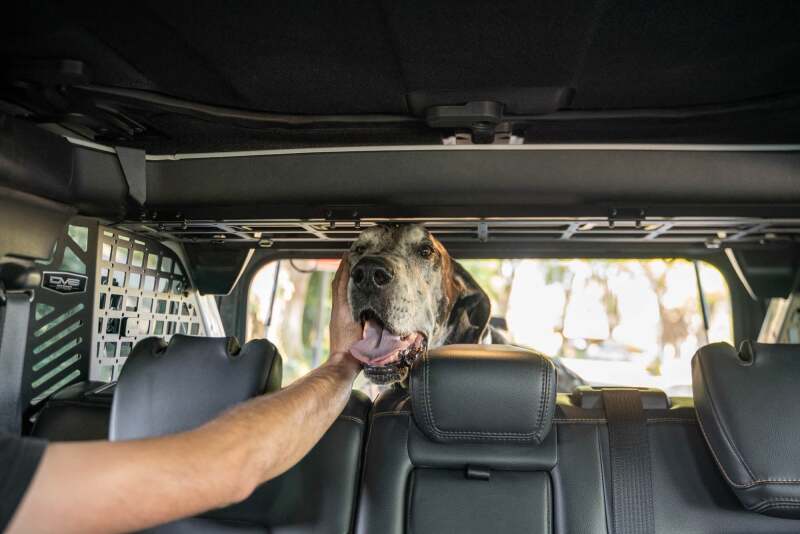 DV8 Offroad 2021-2024 Ford Bronco Dog Barrier