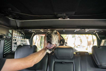 DV8 Offroad 2021-2024 Ford Bronco Dog Barrier