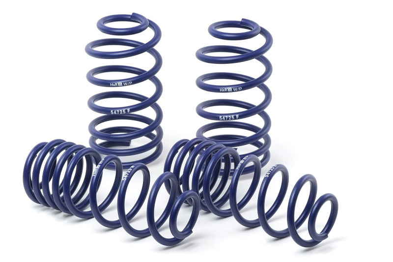 H&R 17-18 Mercedes-Benz E400 4MATIC / E450 Wagon S213 Sport Spring (Incl. Self Leveling)