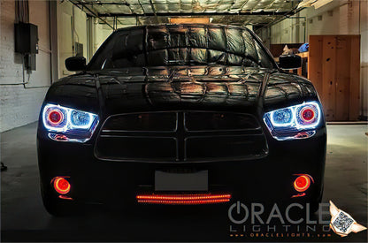 Oracle 11-12 Dodge Charger LED Fog Light Halo Kit - Amber