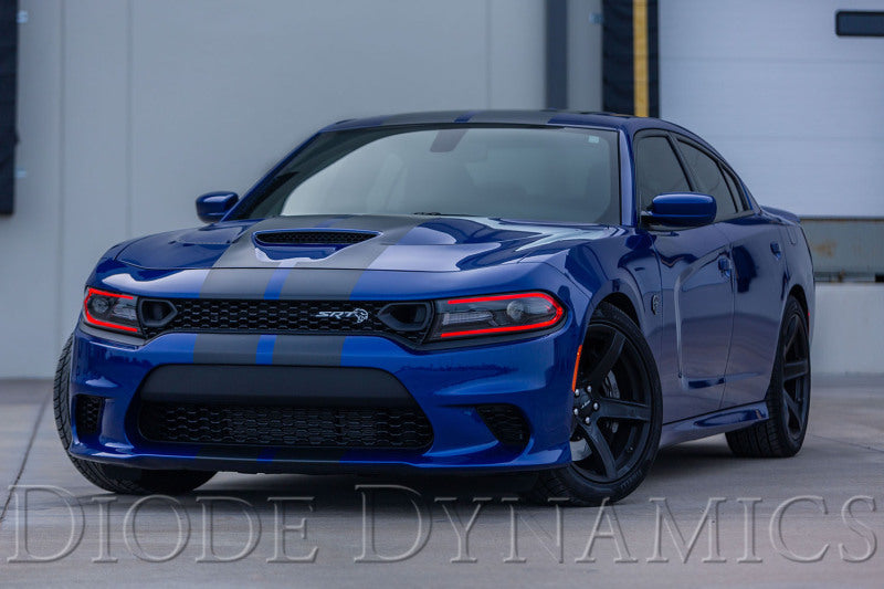 Diode Dynamics RGBW DRL LED Boards for 2019-2021 Dodge Charger