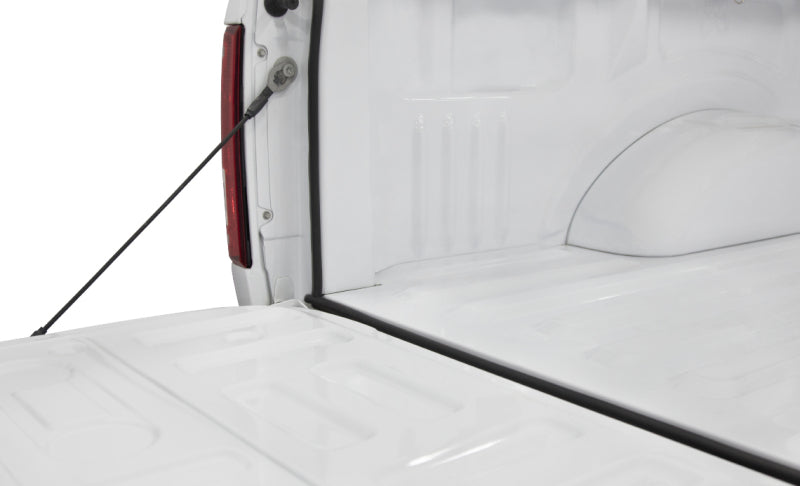 Access - Accessories TRAILSEAL Tailgate Gasket 1 Kit Fits All Pickups