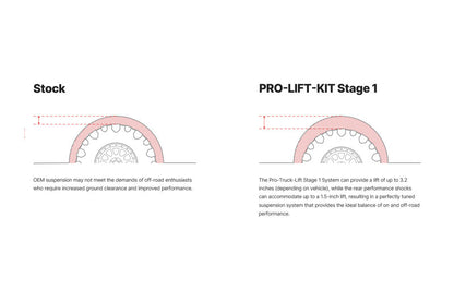 Eibach Pro-Truck Lift Kit (Stage 1) for 18-24 Ford Expedition 2WD/4WD
