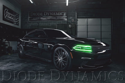 Diode Dynamics 2015-2018 Dodge Charger RGBW DRL LED Boards