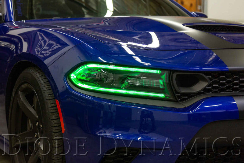 Diode Dynamics RGBW DRL LED Boards for 2019-2021 Dodge Charger