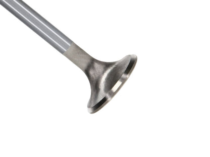 Manley Ford GT350 Voodoo 5.2L Race Master Series Intake Valve - 1.508in Dia