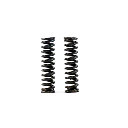 Hybrid Racing - Heavy Duty Transmission Detent Springs (16-23 Civic/23+ Integra/15-20 Fit)