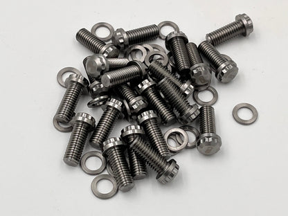 Delacruz Motorsports - M8x1.25 x 20mm Stainless Steel Bolts