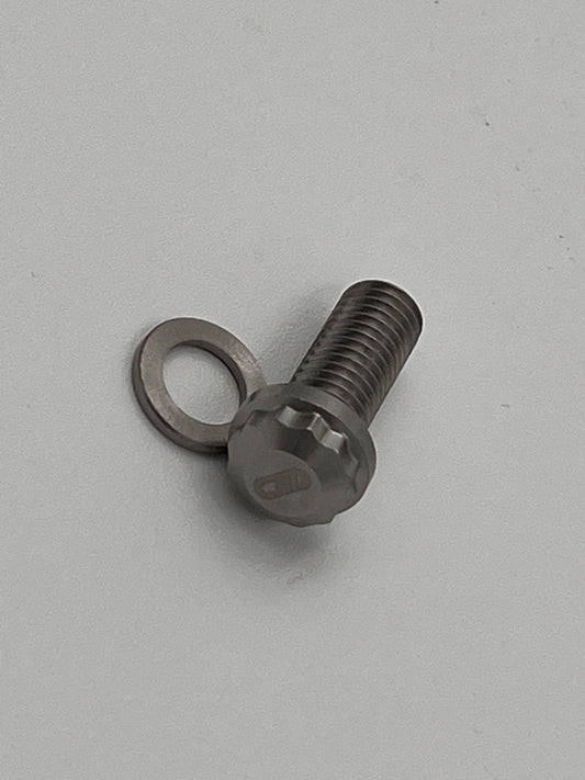 Delacruz Motorsports - M8x1.25 x 20mm Stainless Steel Bolts