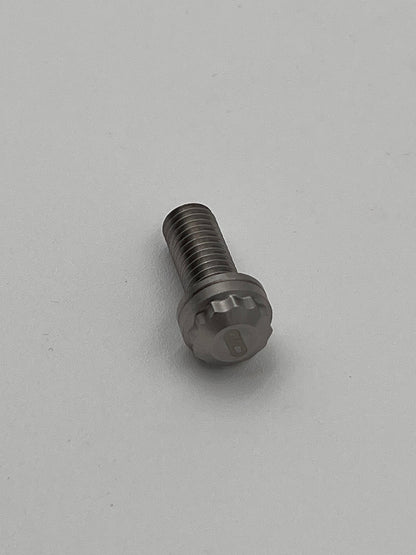 Delacruz Motorsports - M8x1.25 x 20mm Stainless Steel Bolts