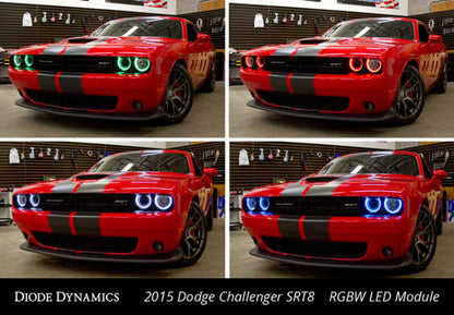 Diode Dynamics 15-21 Dodge Challenger RGBW DRL LED Boards