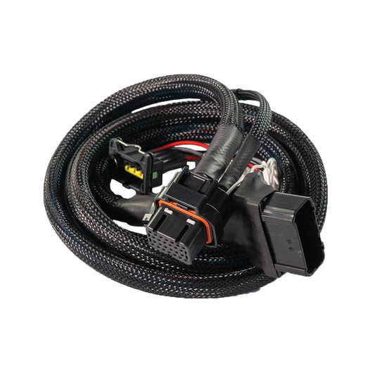 FuelTech - OFF-ROAD SINGLE CYLINDER MINI BIKE HARNESS