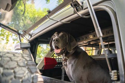 DV8 Offroad 2021-2024 Ford Bronco Dog Barrier