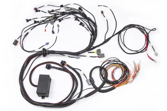 Haltech Nissan RB Elite 2000/2500 Terminated Engine Harness w/EV1 Injector Connectors