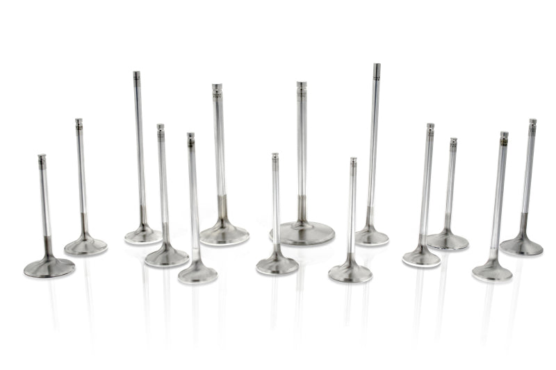 Ferrea Nissan KA24DE 36.6mm 7mm 25 Deg S-Flo Stock Competition Plus Intake Valve - Set of 8