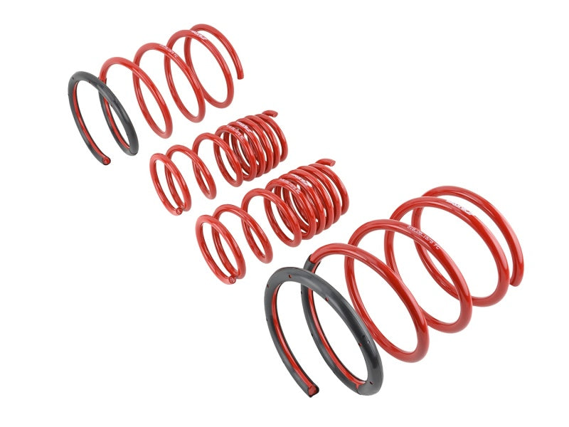 Skunk2 02-05 Honda Civic Si Hatchback Lowering Springs (2.25in - 2.00in.) (Set of 4)