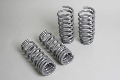 Progress Tech 04-10 Dodge Chrysler 300C/2009+ Dodge Challenger V8 Sport Springs