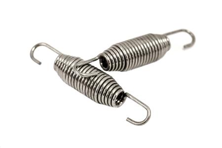 PLM - Exhaust Spring (Set of 2)