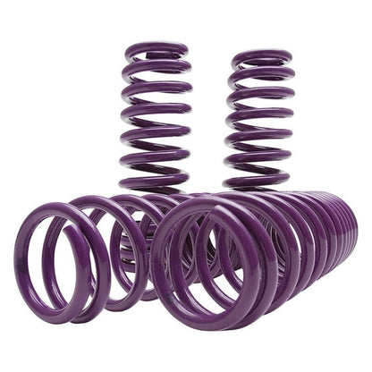 D2 Racing - Pro Series Lowering Springs for Tesla Model 3 / RWD