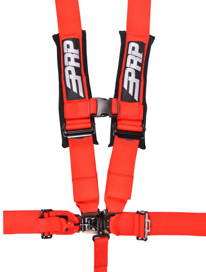 PRP 5.3 Harness- Red