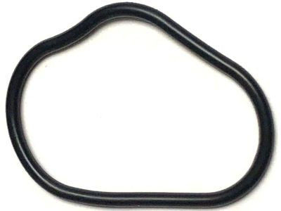 Honda - Chain Case O-Ring