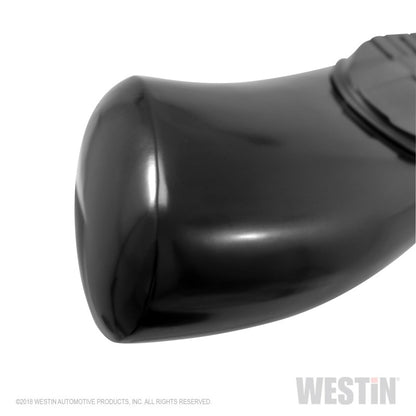 Westin 2019 Ram 1500 Quad Cab (Excl Classic) PRO TRAXX 5 Oval Nerf Step Bars - Black