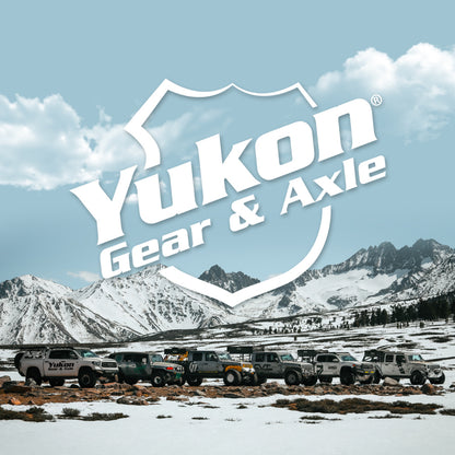 Yukon Gear ZF 9.25in CHY 3.91 Rear Ring & Pinion Install Kit Positraction Axle Bearings and Seals