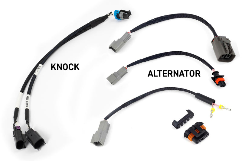 Haltech NEXUS Rebel LS Gen III Cable Throttle/EV1 Injectors/Manual Transmission