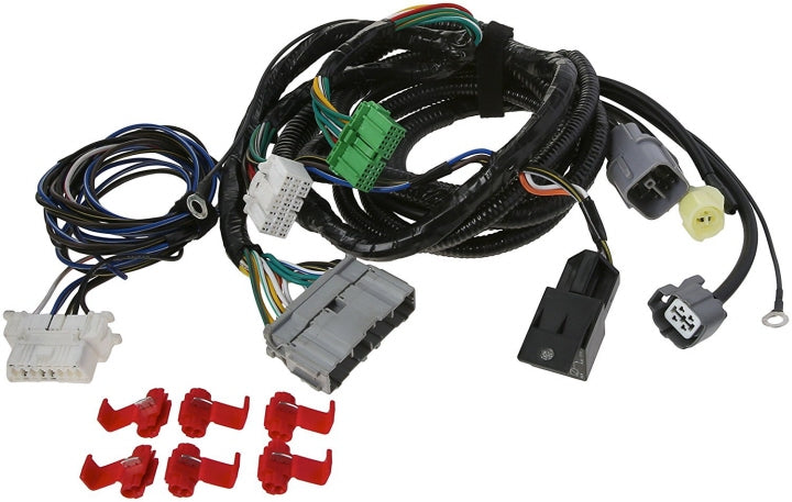 Hasport - K-Series Wiring Jumper Harness