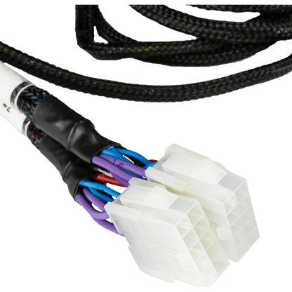 FuelTech - PEAK & HOLD PRO Y ADAPTER HARNESS